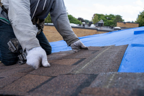 Best Emergency Roof Repair  in Medina, NY
