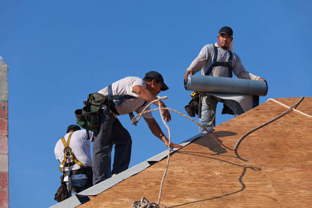 Best Gutter Installation and Roofing  in Medina, NY
